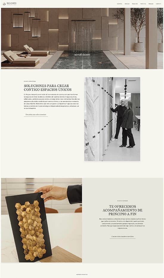 Desarrollo web Roigres